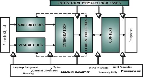 diagram of visual speech process
